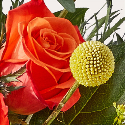 Disco Bouquet –  Allure Floral Boutique, Wickliffe OH