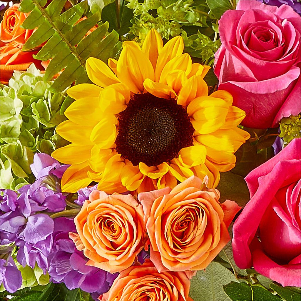 Vibrant Greetings Bouquet –  Allure Floral Boutique, Wickliffe OH