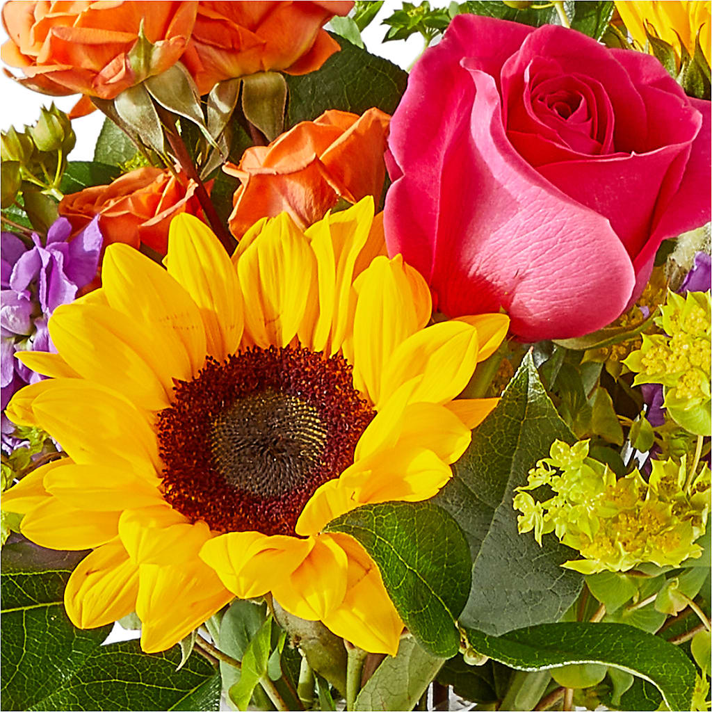 Vibrant Greetings Bouquet –  Allure Floral Boutique, Wickliffe OH