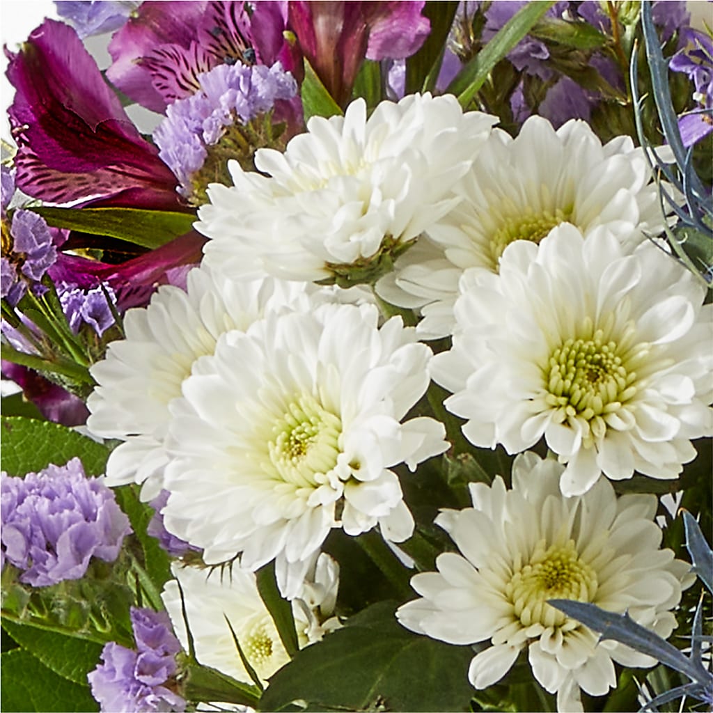 Shooting Star Bouquet –  Allure Floral Boutique, Wickliffe OH