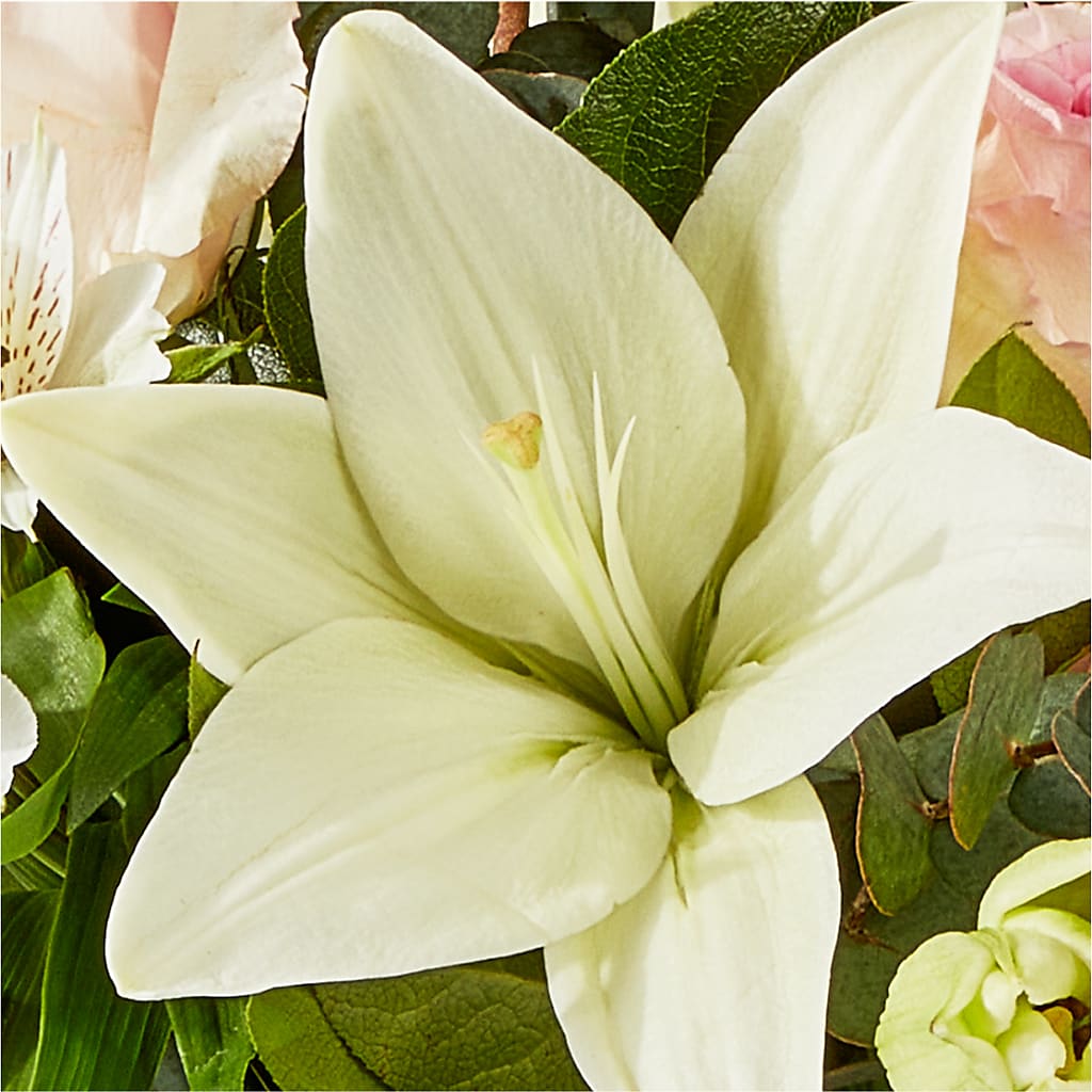 Ballet Slippers Bouquet –  Allure Floral Boutique, Wickliffe OH