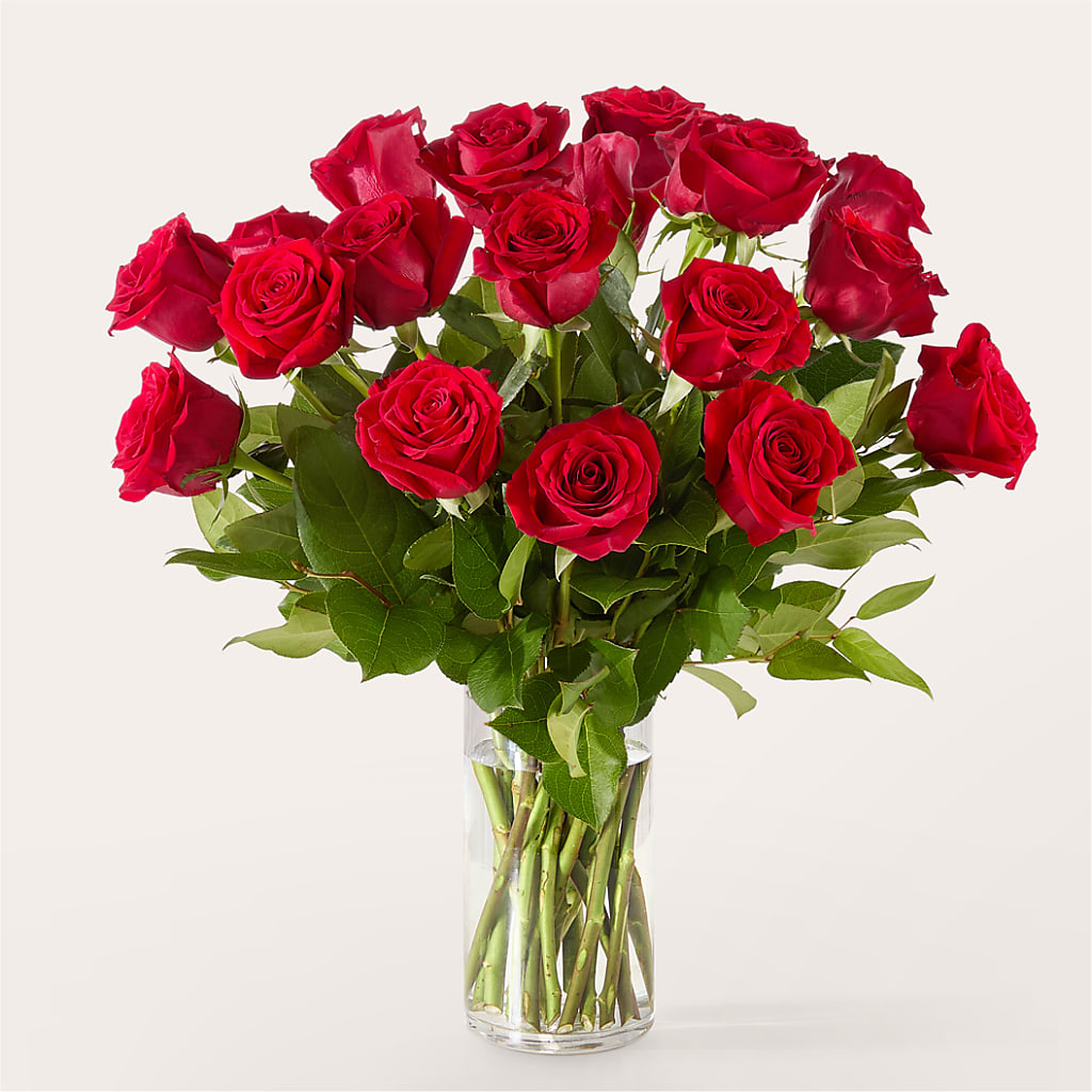 The One Red Rose Bouquet –  Allure Floral Boutique, Wickliffe OH