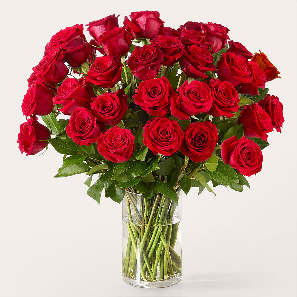 The One Red Rose Bouquet –  Allure Floral Boutique, Wickliffe OH
