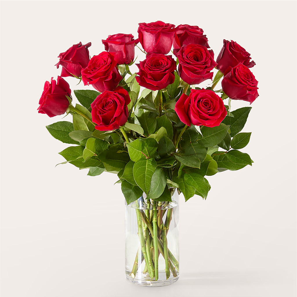 The One Red Rose Bouquet –  Allure Floral Boutique, Wickliffe OH