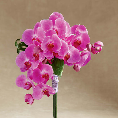 Glorious Bouquet –  Allure Floral Boutique, Wickliffe OH