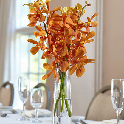 Orange Mokara Bud Vase –  Allure Floral Boutique, Wickliffe OH