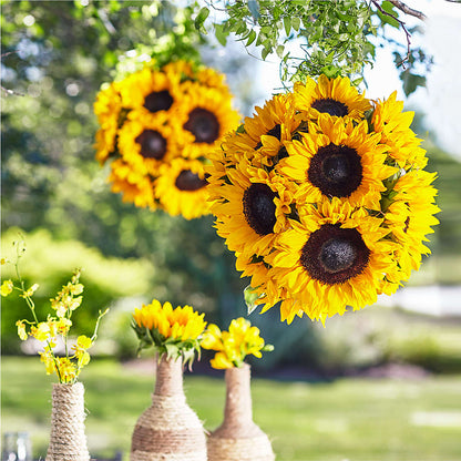 Sublime Garden Hanging Arrangement –  Allure Floral Boutique, Wickliffe OH