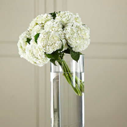 White Hydrangea Hand-Tied Bouquet –  Allure Floral Boutique, Wickliffe OH