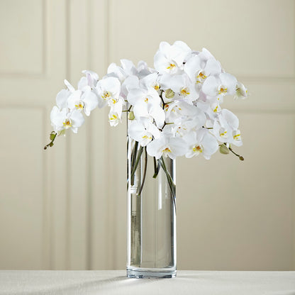 White Phalaenopsis Bouquet –  Allure Floral Boutique, Wickliffe OH