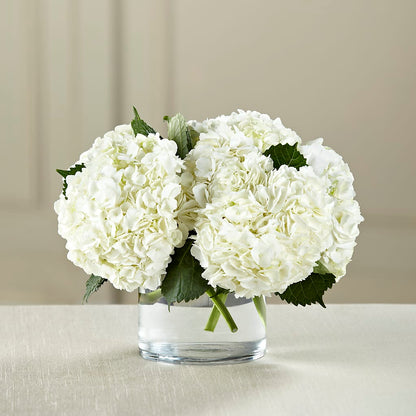 White Hydrangea Bouquet –  Allure Floral Boutique, Wickliffe OH
